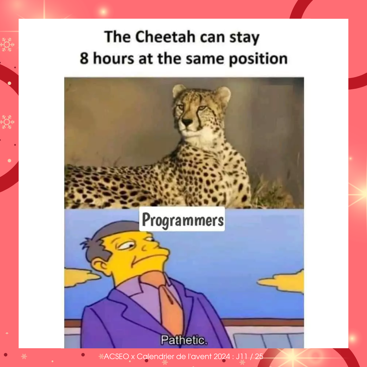 11
